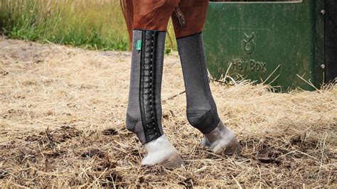 EquiCrown .